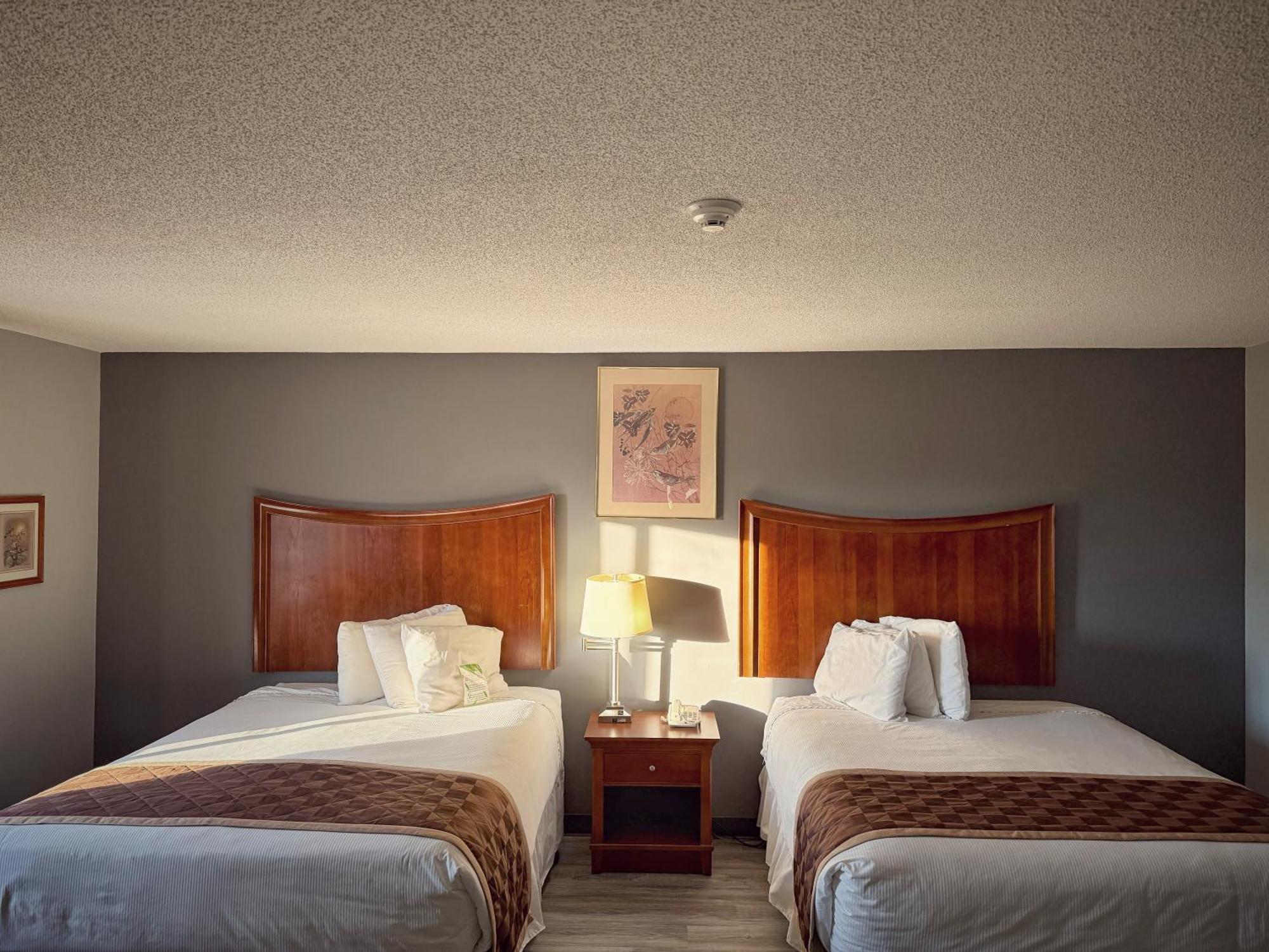 Lake Tree Inn & Suites Marion Ngoại thất bức ảnh